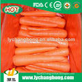 2014 Fresh carrot for hot sale